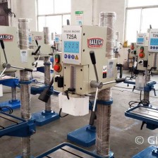 gimex-5